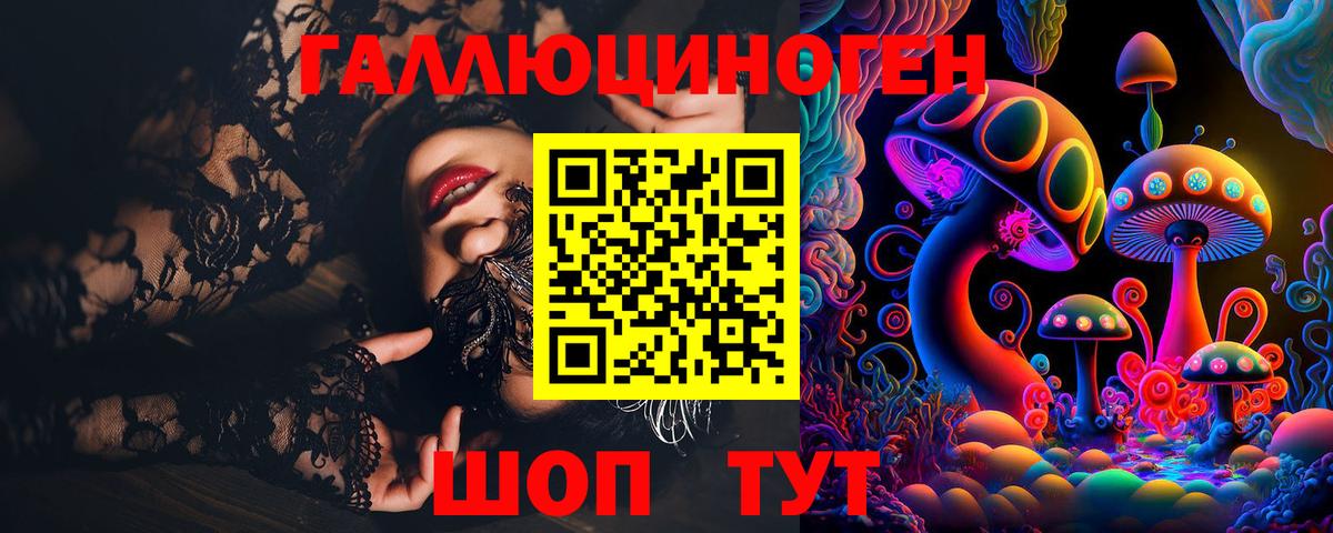 Зеленогорск  Псилоцибиновые грибы MAGIC MUSHROOMS  Вход с VPN 