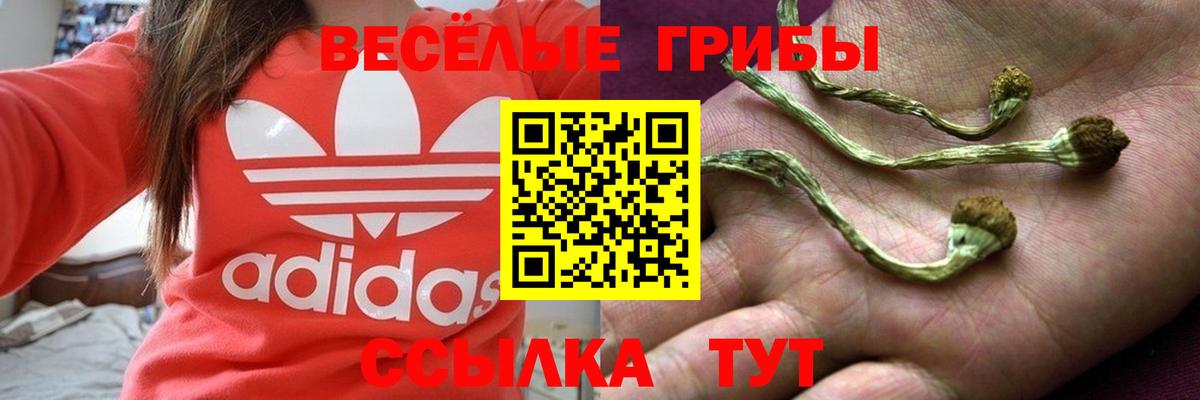 Галлюциногенные грибы Magic Shrooms Зеленогорск